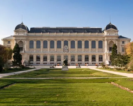Priceless Gold Pieces Taken in Audacious Heist at France's National Institution